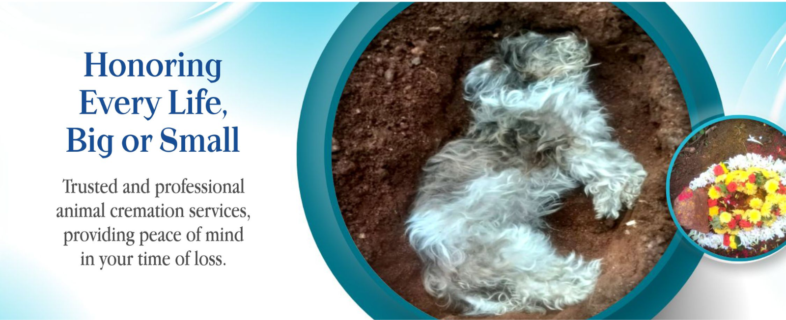 Untitled design (10)