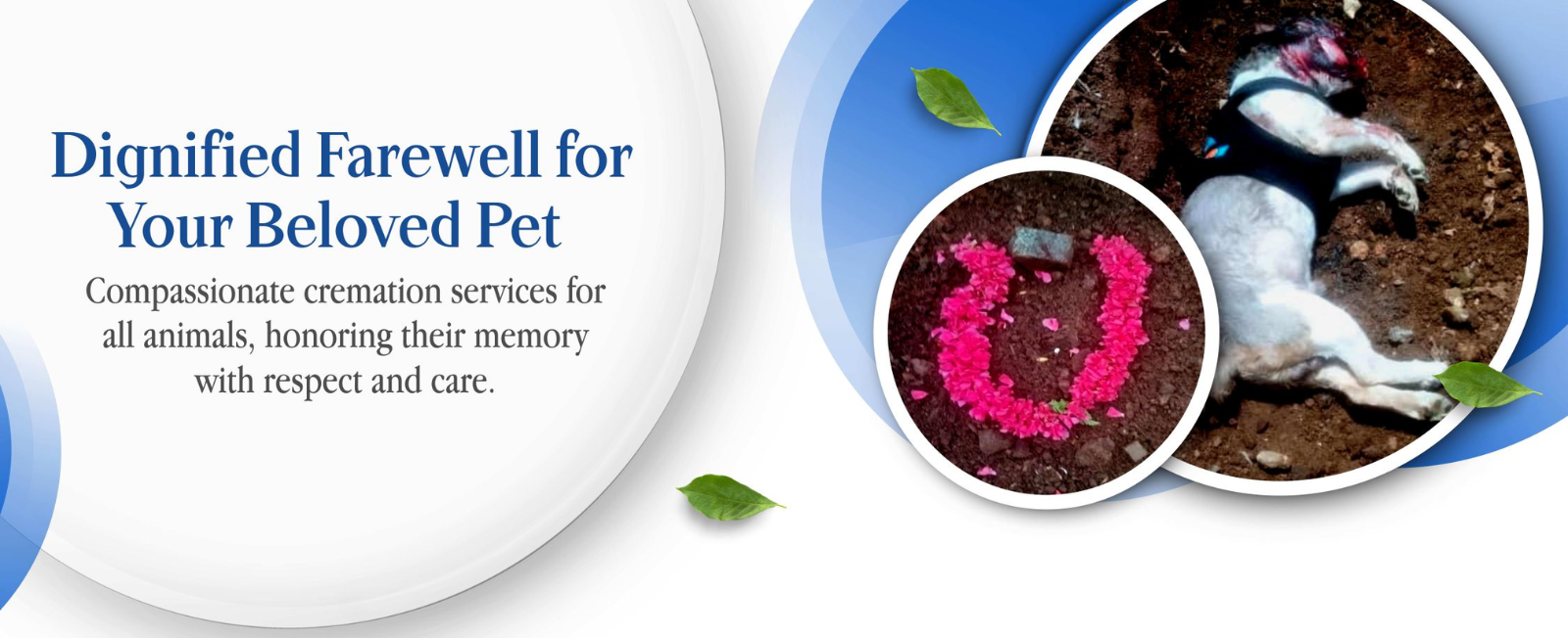 Untitled design (12)